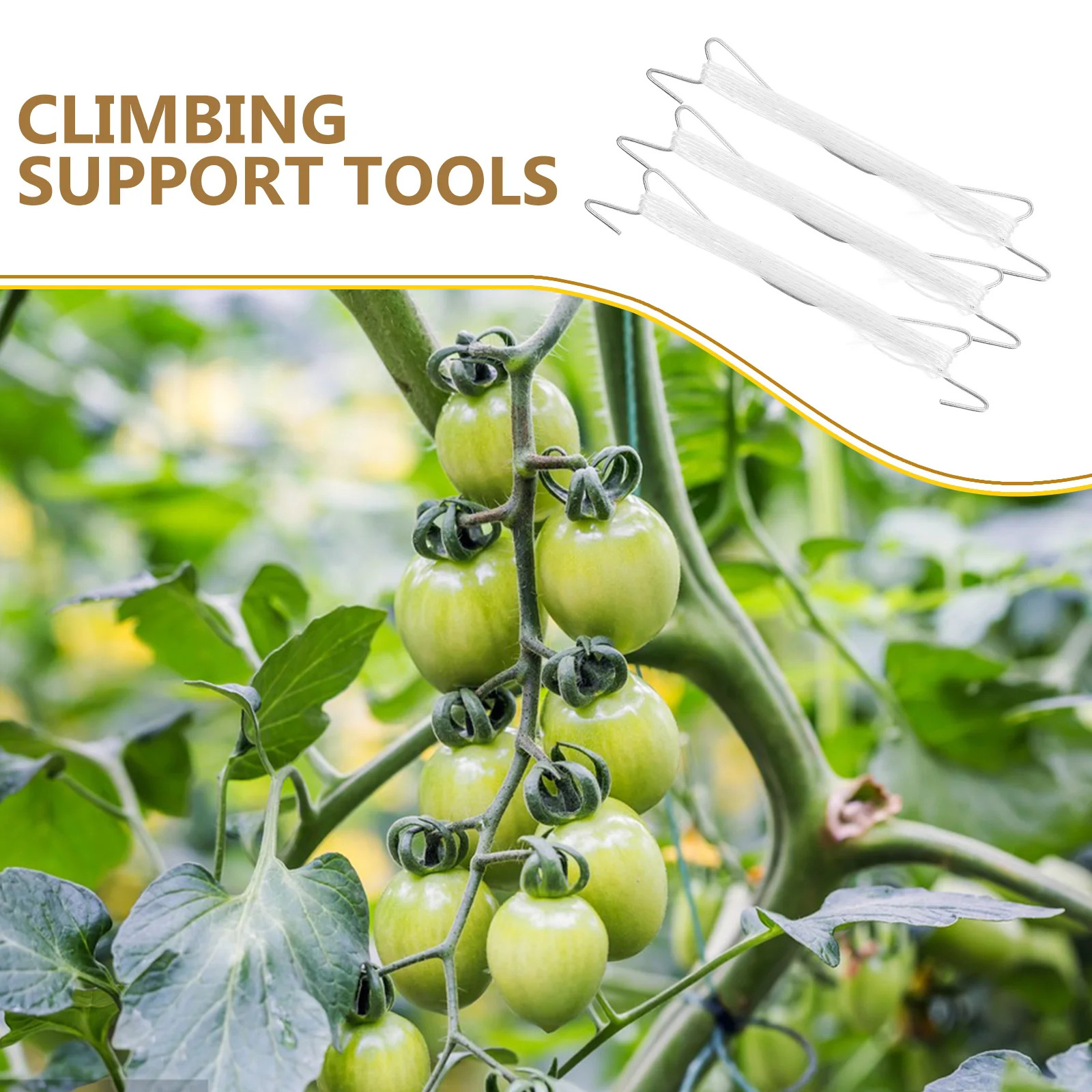 

1Set Tomato Clips for String Trellis Plant Vine Support Hooks Garden Supplies Tomato Clips Tomatoes Hooks Garden Supplies