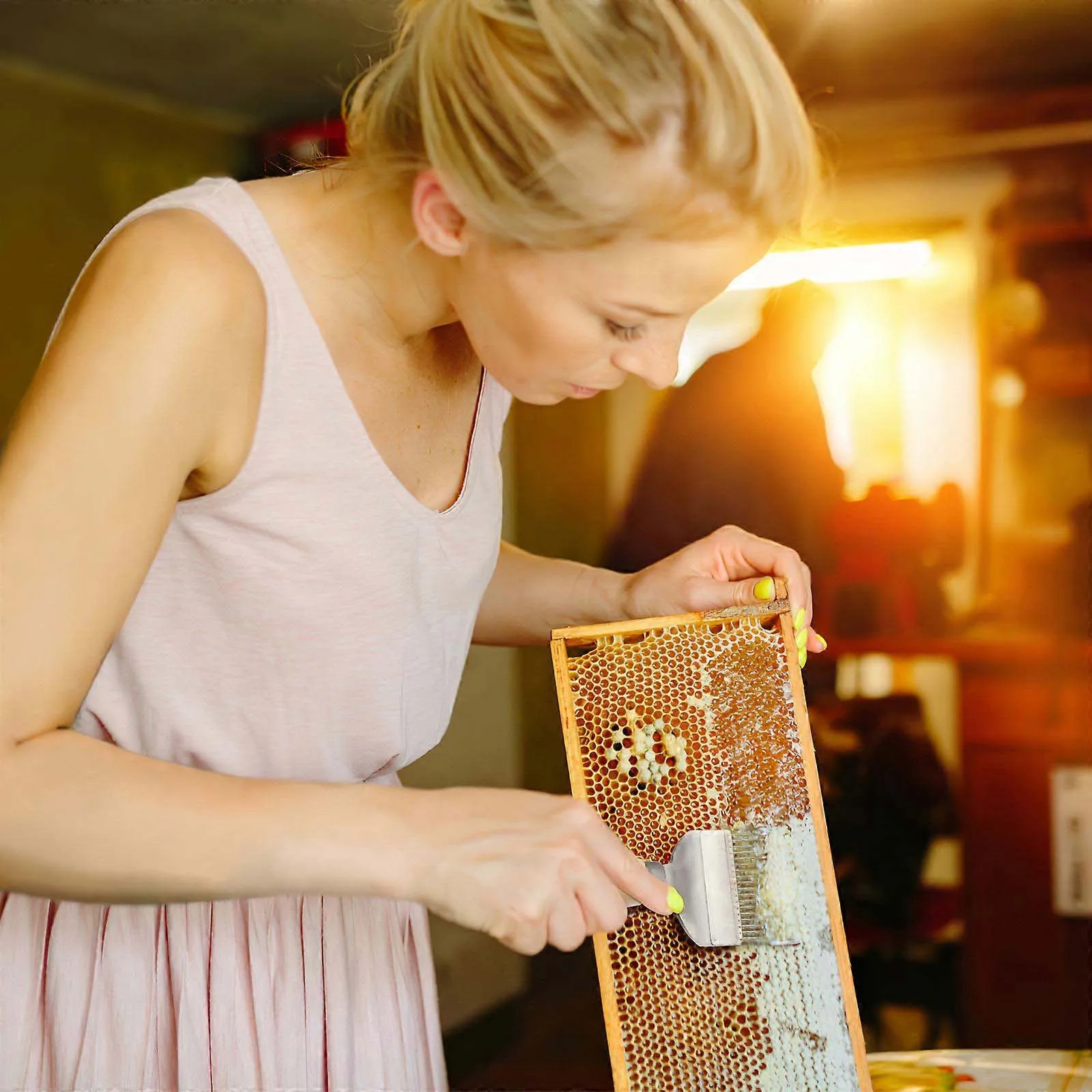 مشط تفريغ العسل من الفولاذ المقاوم للصدأ مكون من 17 دبابيس، مقبض خشبي لمربي النحل وشوك قطع العسل الأساسية