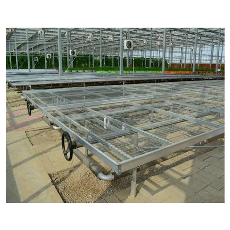 Hot Sale Growing Table Rolling Bench for Greenhouse