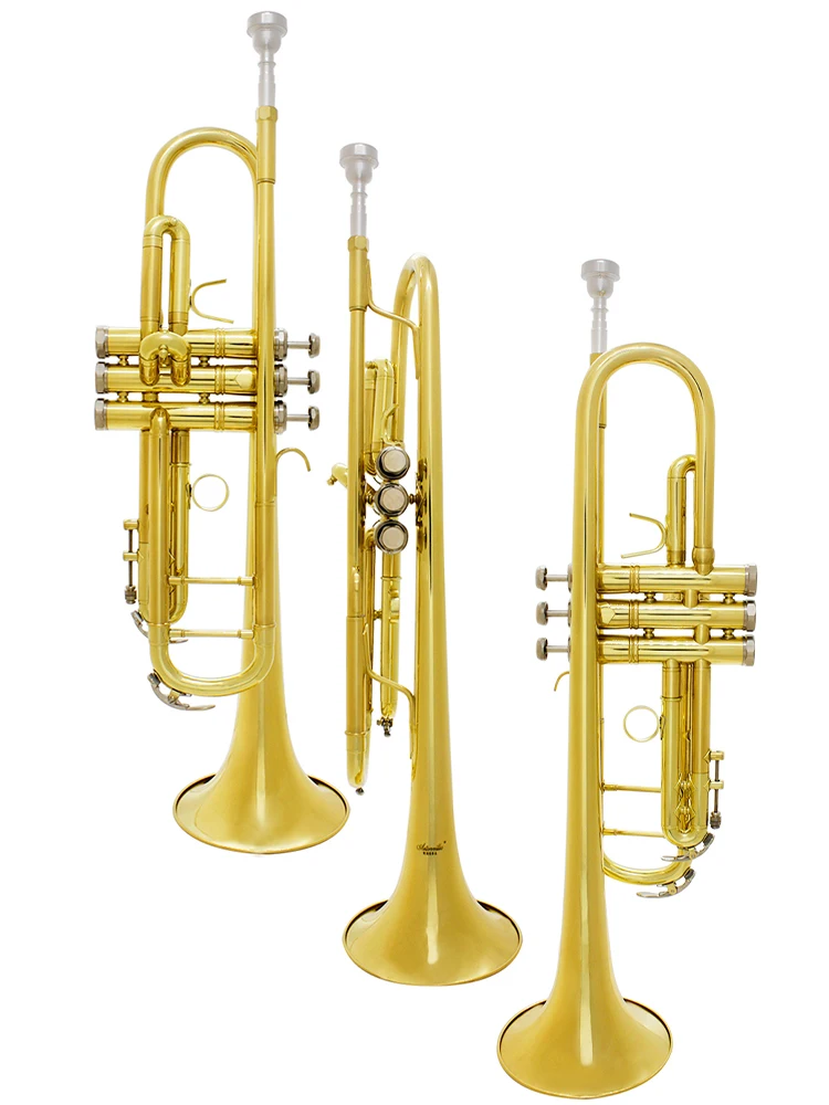 Astonvilla BbTrompete Professionelles doppelsträngiges goldenes Trompetenprüfungs-Blechinstrument, großes Design, Koffer, Mundstück und Zubehör