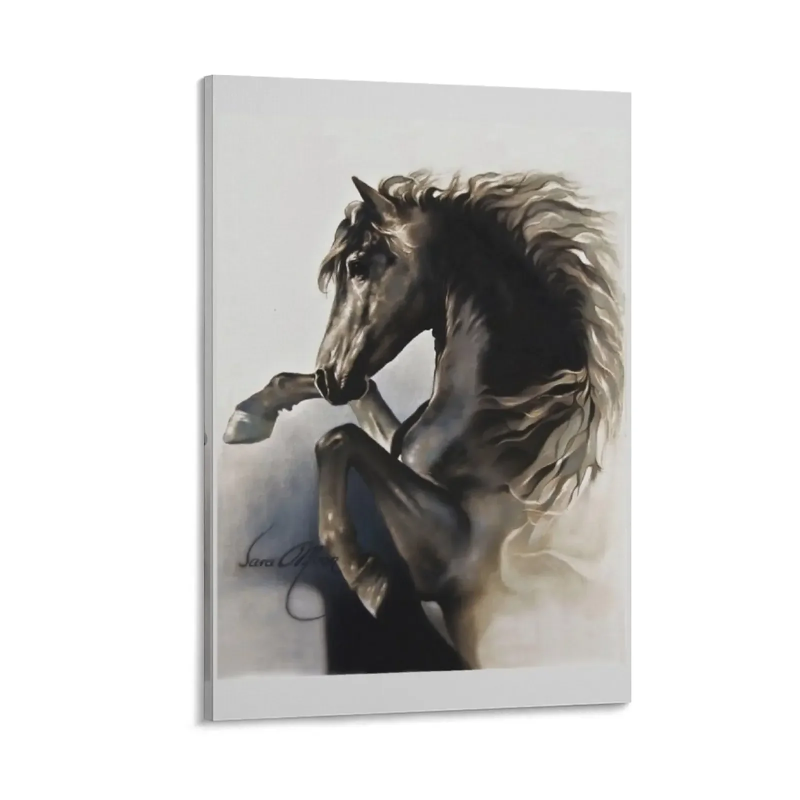 

Black Fury Canvas Painting room decorations aesthetic art posters for wall