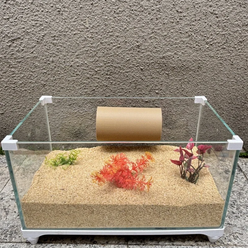 The habitat of aquatic animals such as fighting fish and shrimp attached to the glass of the aquarium by suction cups