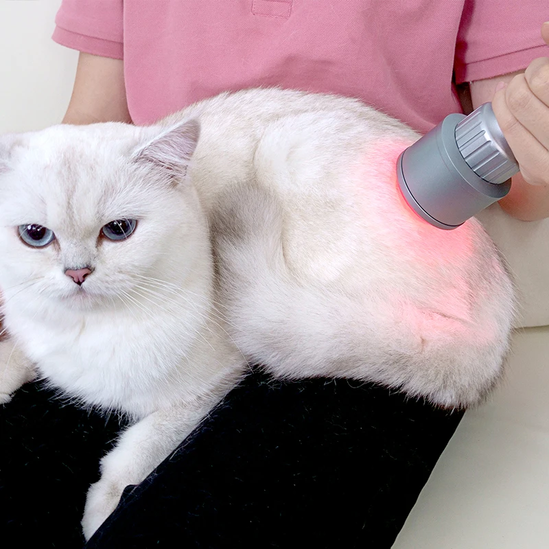 Professional Class IV Physiotherapy Rehabilitation Machine Pain Relief Device for Dogs Cats Body Pain