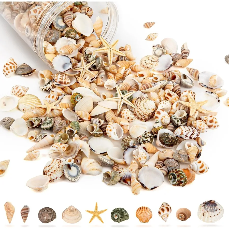 

Tiny Sea Shells and 6 Starfish Decor Mixed Ocean Beach Spiral Seashells for Home Decor Wedding Decor Beach Decor Vase Filler Oc