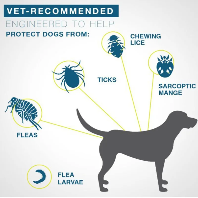Anjing Kucing Anti Kutu Nyamuk Kerah Penolak Anjing Antiparasit 8 Bulan Perlindungan Kerah Dapat Disesuaikan Anjing Besar Anak Anjing Kucing Aksesori