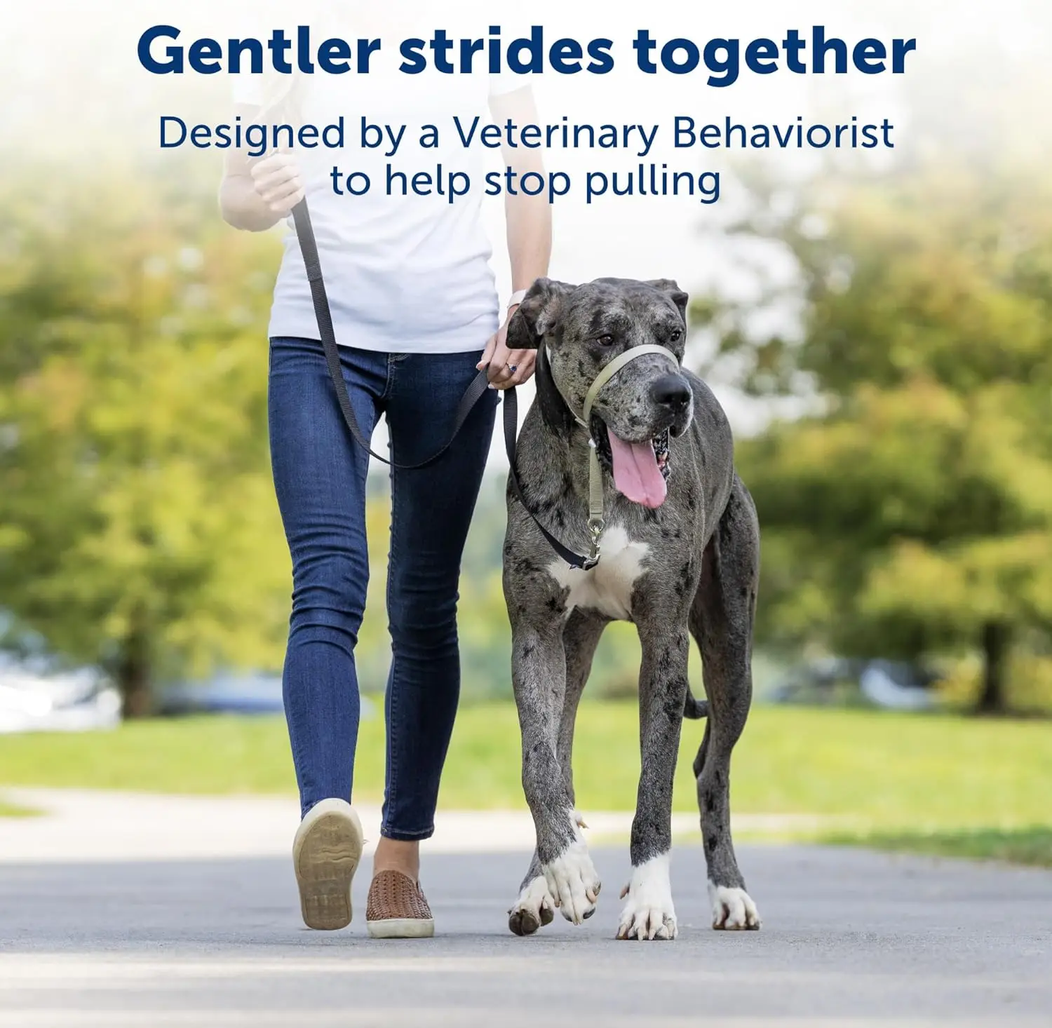 Gentle Leader Headcollar No-Pull Dog Collar Helps Improve Walks Durable Nylon Construction Padded Nose Loop Adjustable Fit view 3
