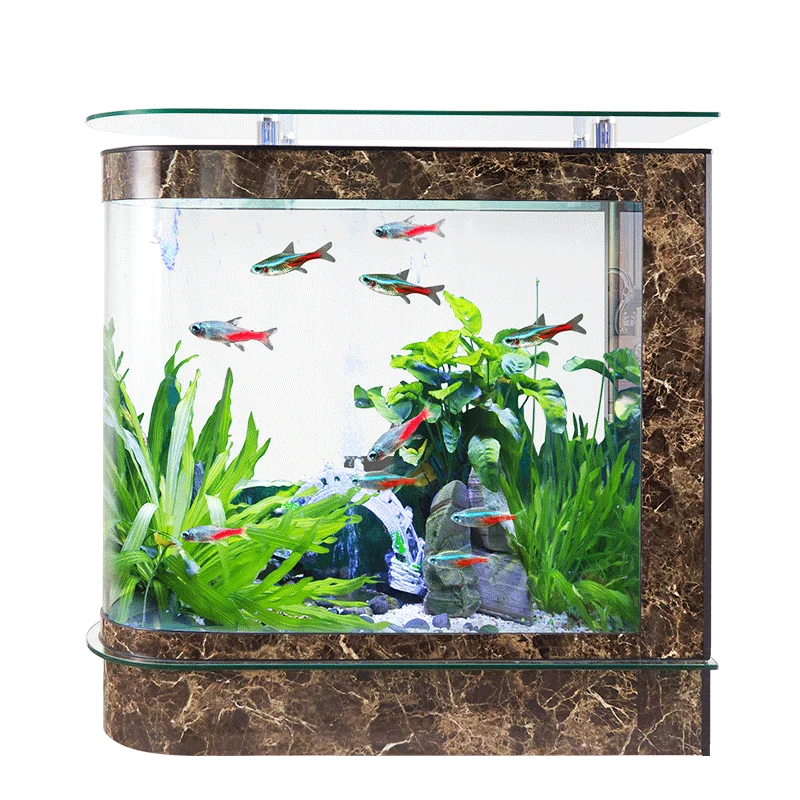 

Bullet head fish tank, curved glass fish tank, aquarium compartment, ecological, and no water exchange