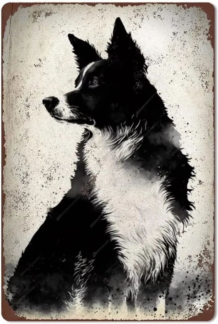 Vintage Tin Sign Border Collie Wall Art Metal Poster Retro Plaque Wall Decor Gift For Garage Classroom Garden Men Cave Library L