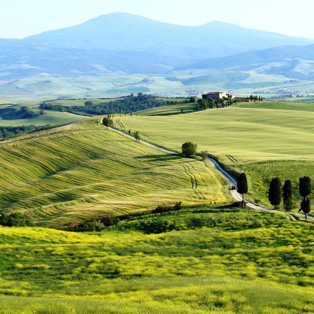 

12,3 "для Jeep Wrangler JL мультимедийный Android экран плеер авто автомобильный радио стерео видеоприемник головное устройство сенсорный экран