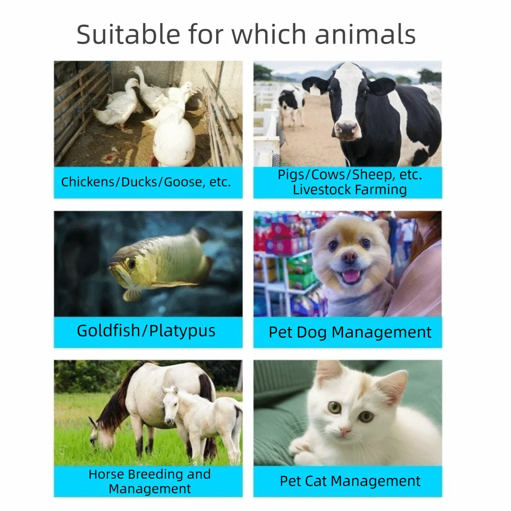 Handheld Pet ID Detection Portable Rechargeable Animal Tag Reader Data Storage Bluetooth Connectivity Pet Chip Scanner Pet Shop