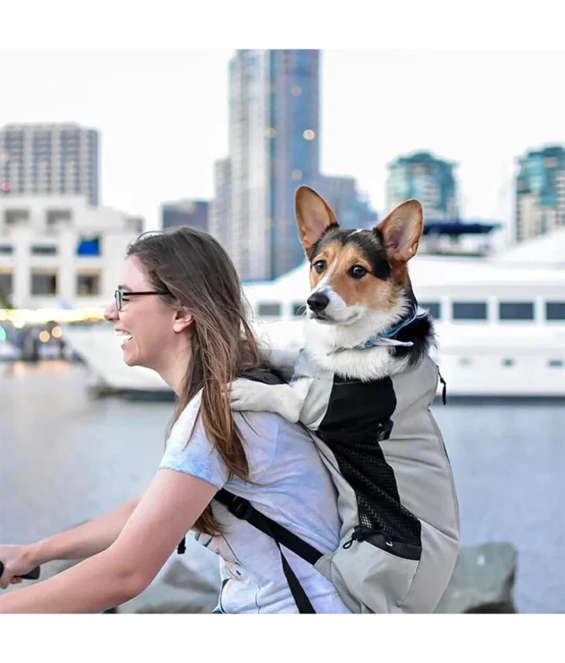 Zaino porta cani in nylon resistente per cani di piccola taglia media Zaino da ciclismo traspirante di alta qualità per forniture per animali domestici da viaggio all'aperto