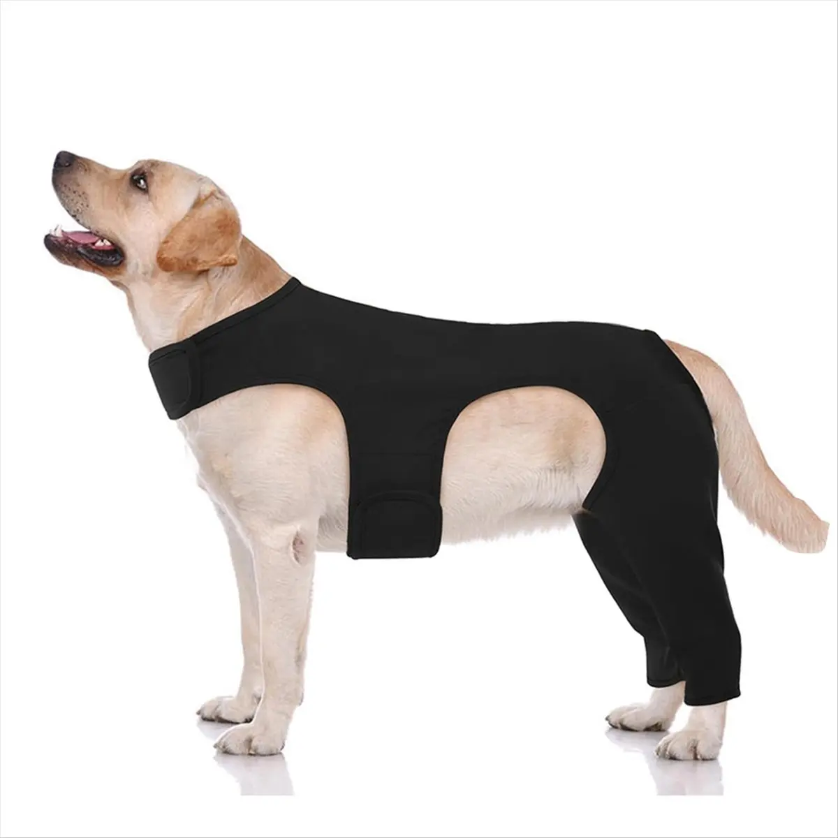 *ABKM Dog Knee Brace for Torn ACL Hind Leg - Adjustable Dog Leg Braces for Both Back Legs with 4 Stabilizer S