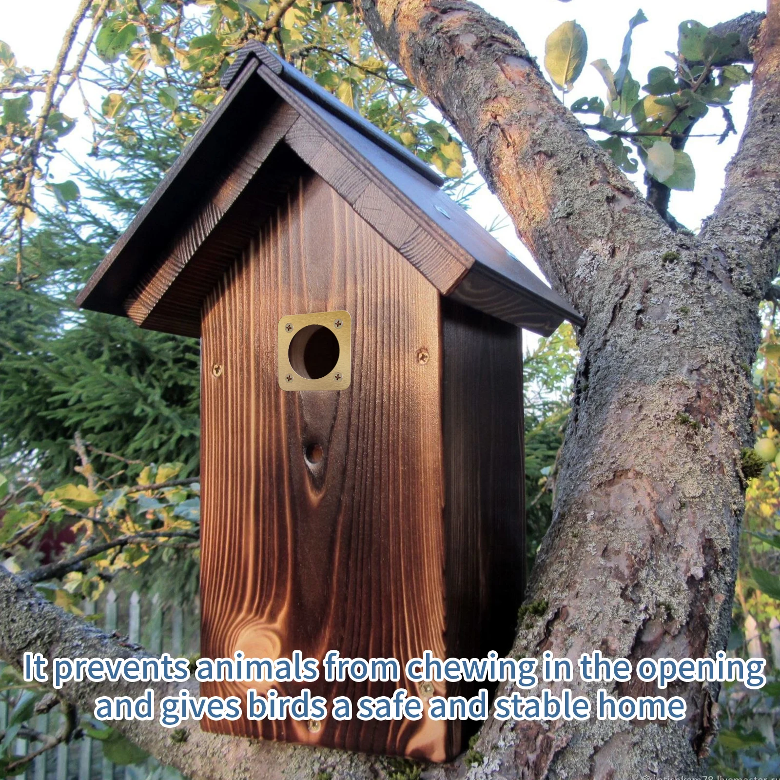 Thumbnail 2 - #9 Compare Birdhouses Before You Buy