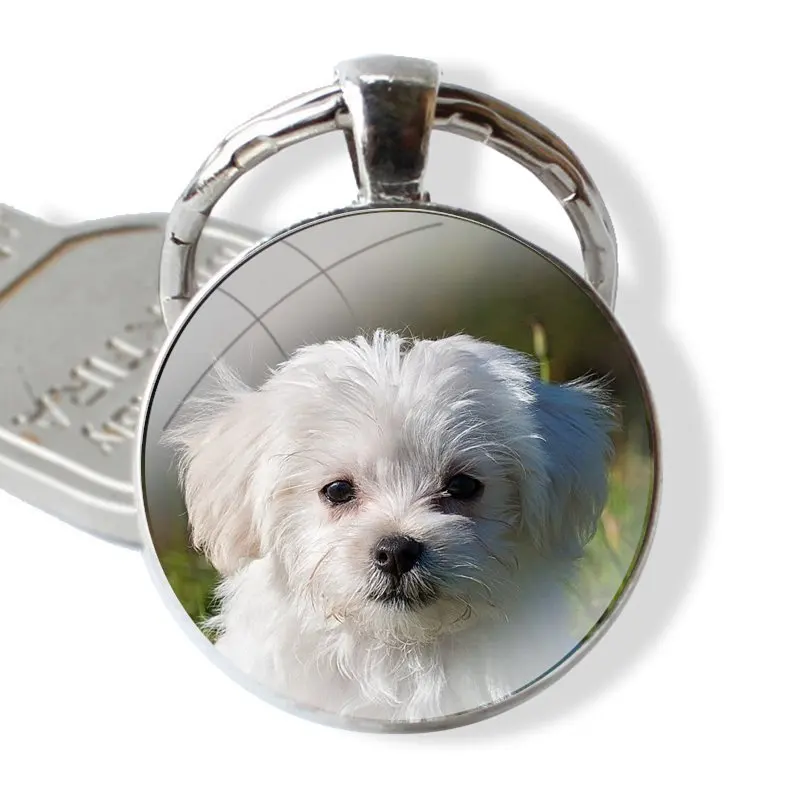 white Maltese Dog 25mm Glass Cabohcon Keychain Key Rings for Women Men Jewelry Gift