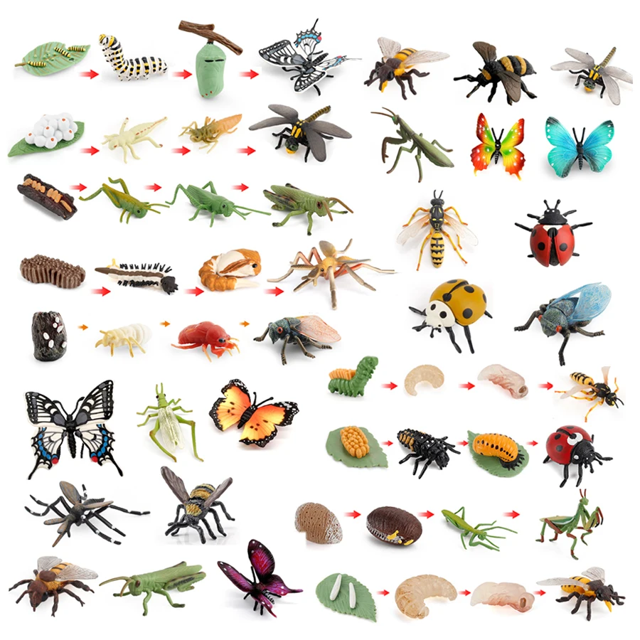 Figuras de modelo de ciclo de vida, insecto realista, saltamontes, mosquitos, mariquita, mariposa, avispa, abeja, libélula, Mantis, juguete educativo