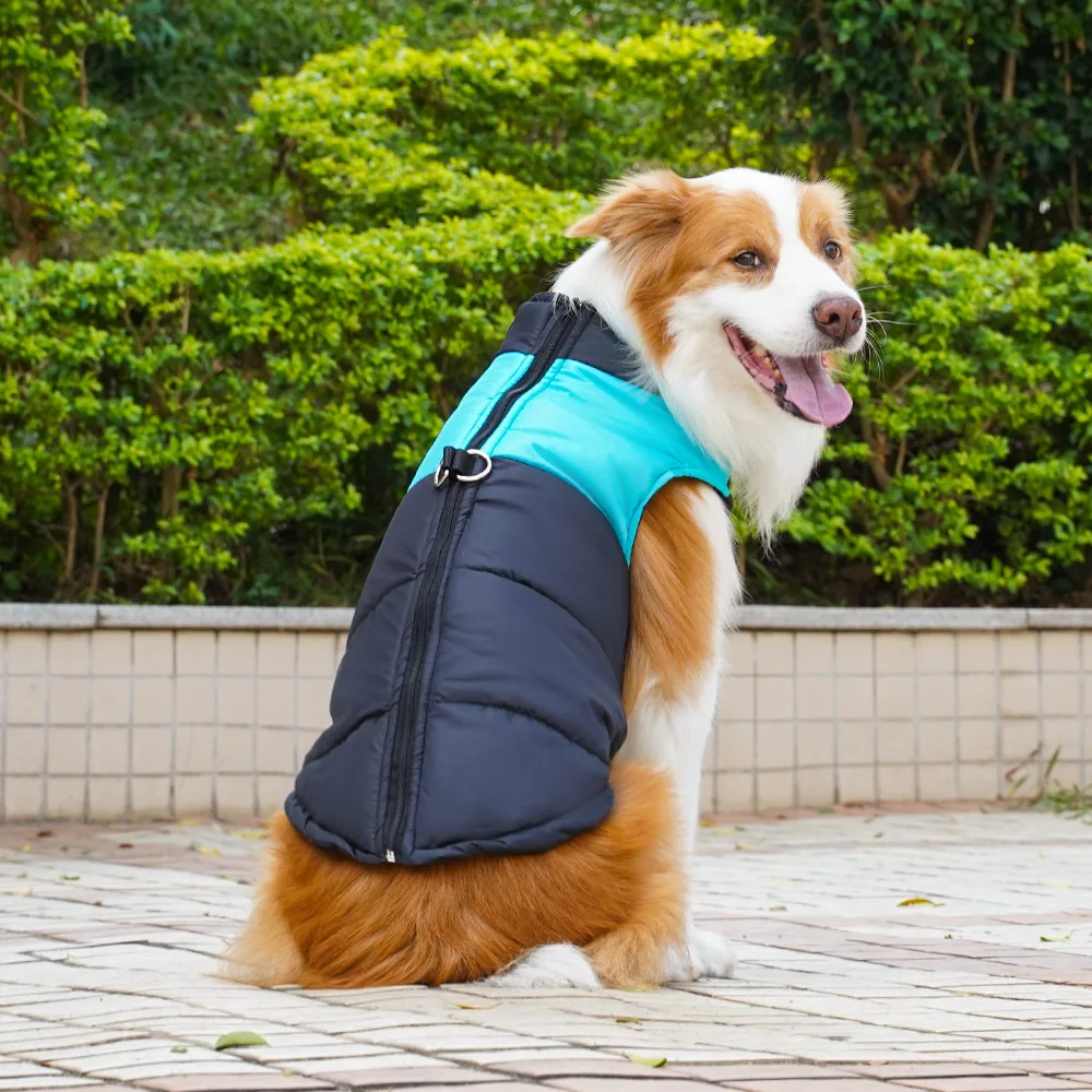Roupas de inverno para cães, colete acolchoado para cães pequenos e grandes, roupas para caminhada ao ar livre, golden retriever, roupas para animais de estimação, acessórios para cães