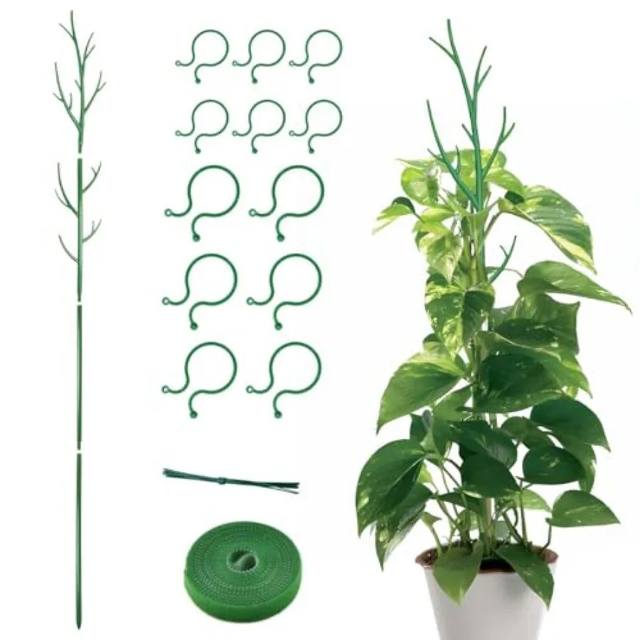 

Stackable Monstera Plant Support Stakes, Plant Trellis for Indoor Climbing Plants, Tree Branch Shape Modular Plant Support Pole