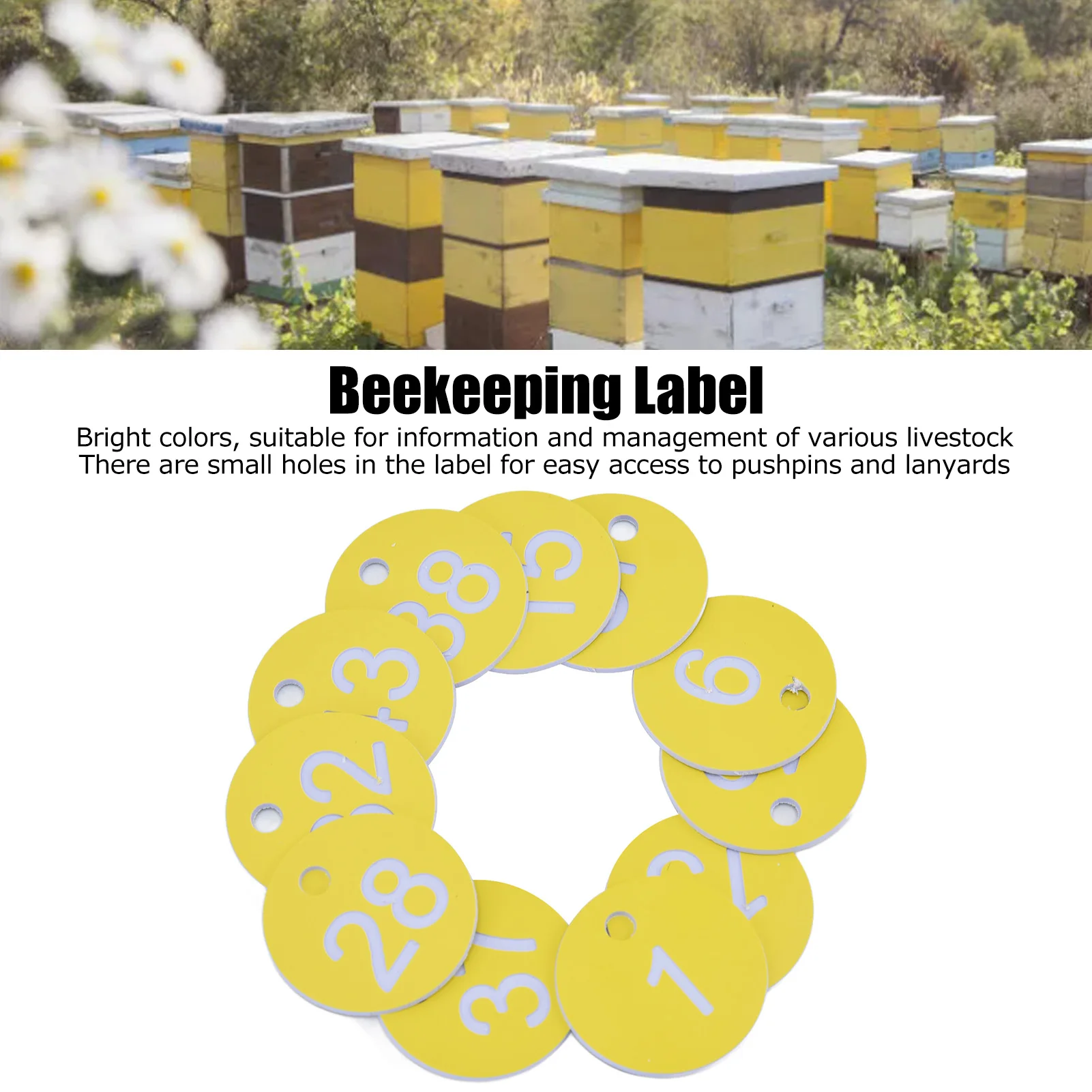 50Pcs Beehive ABS Round Numbered Sign Labels with Hole Livestock Beekeeping Supplies Beekeeping Label Beekeeping