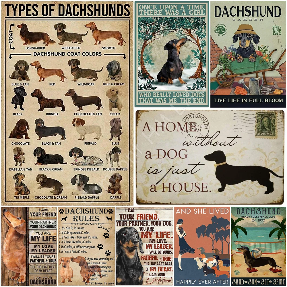 Types of Dachshund Retro Vintage Tin Sign Living Room Bedroom Office Bar Pub Cafe Art Bar Decoration Wall Metal Sign 30x40cm