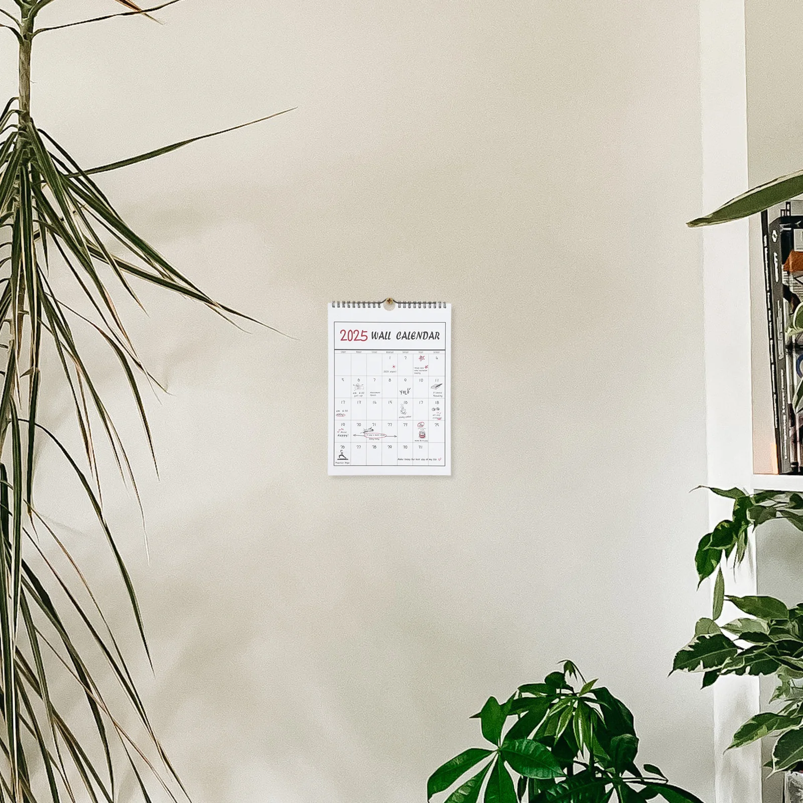 

Прозрачный настенный календарь с принтом, креативный дизайн, ежемесячный планировщик, годовой макет, небольшой подвесной офисный декор 2024.9-2025.12