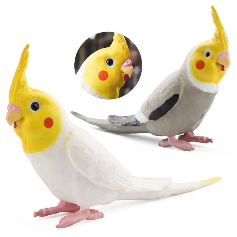 

Collectible Plastic Simulation Parrot Figurine Cute Cartoon Bird Sculpture DIY Educational Parrot Ornament Landscaping