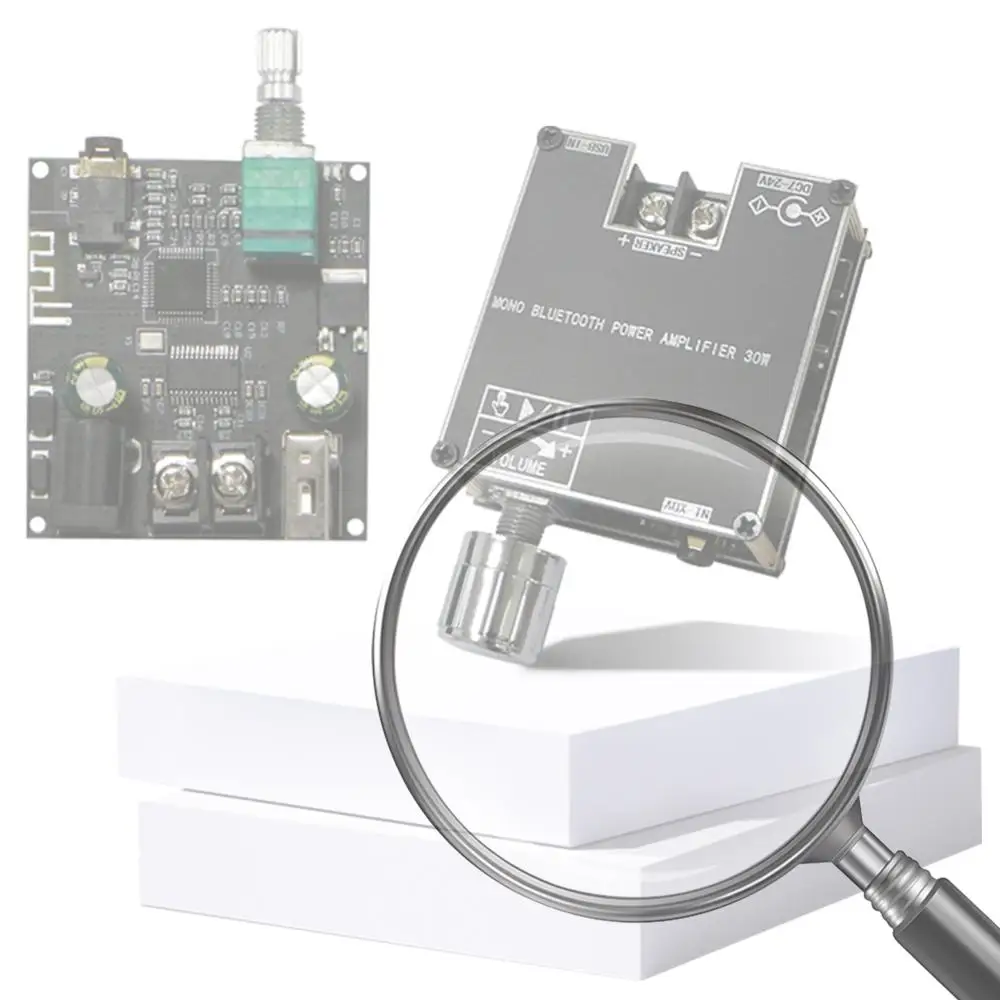 ZK-301B Mono 30W Au…