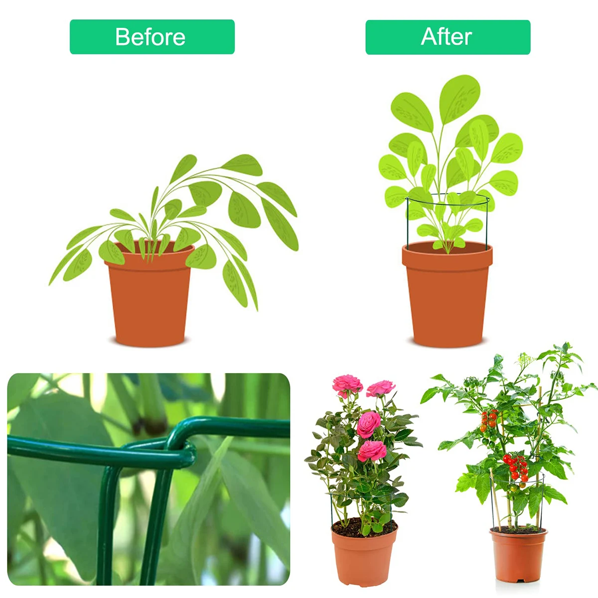 25*40cm Flower Support Stand Semi-circular Plant Support Orchid Climbing Vine Stand Flower Pillar Semi-circular Support Stake