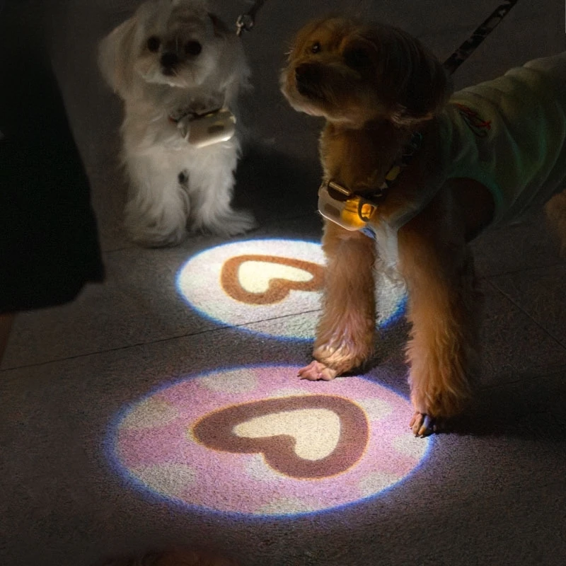 

Pet luminous collar dog puppy hanging ring luminous fluorescent ring night walking dog night small