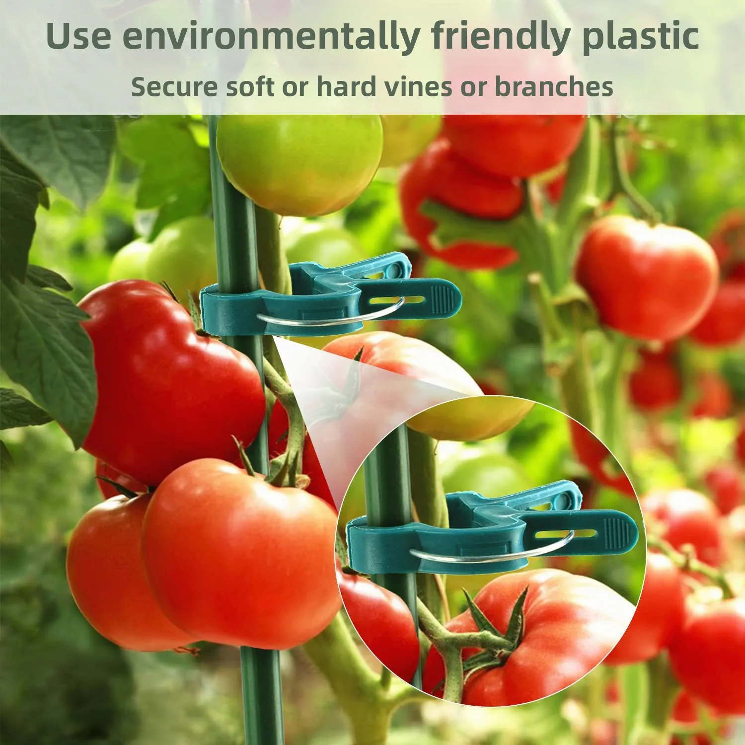 Plant Fixed Clips Reusable Garden Greenhouse Bracket Garden Plants Vine Climbing Clamp Flower Tomato Support Fastener