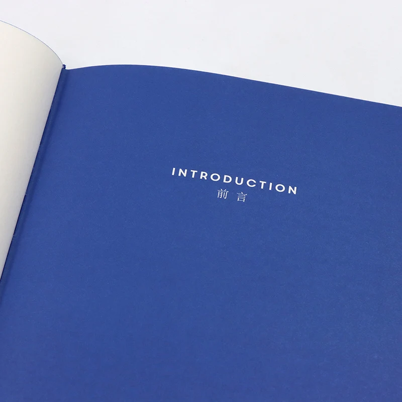 دفتر ملاحظات للقيادة اليومية المؤلف رامون روس، الرئيس العالمي لـ Fendi، الرئيس السابق ومدفئ لويس فويتون الصين #3