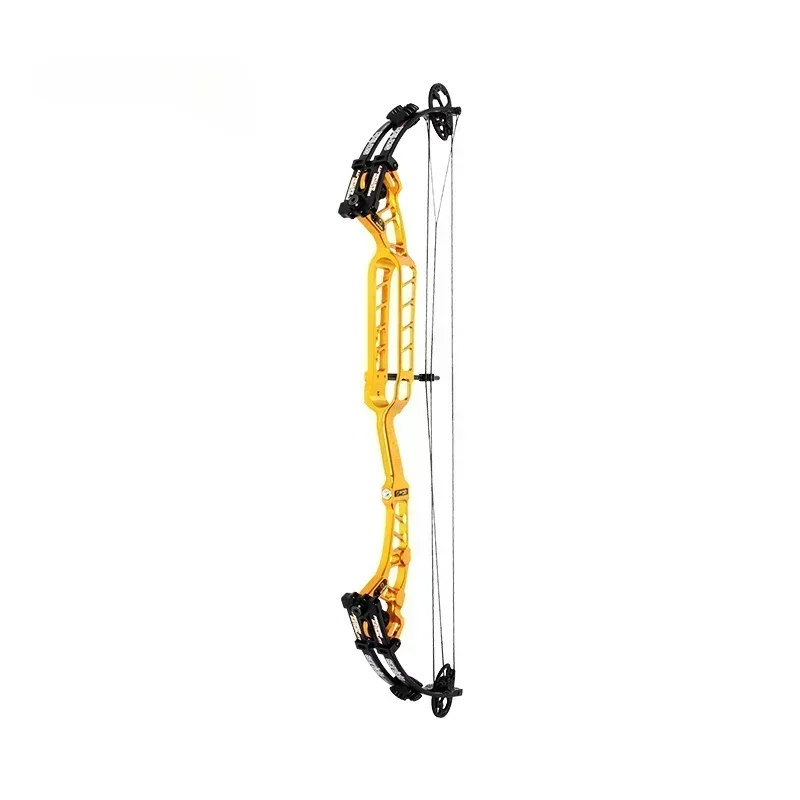 Sanlida Archery Pro Level Target Compound Bow Kit with Accessories Gold Solid Draw Wall Universal Edition