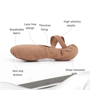 Weiche elastische Sohle Ballettschuhe für Frauen, professionelle Leinwandpantoffeln für Mädchen, Ballett -Turnschuhe, elastische Leinwand, Split 10 Hauptverkauf mit Gummiband - №6