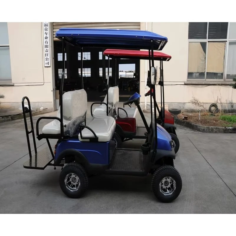 2 Seats Gas or Electric Golf Cart with Many Color for Choice and Factory Wholesale Prices