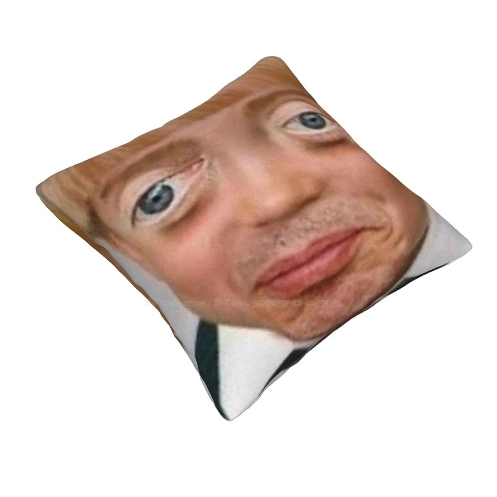 Steve Buscemi Boy Pillowslip Pillowcase Steve Buscemi Meme Boy Advice Animal Blonde Child Kid