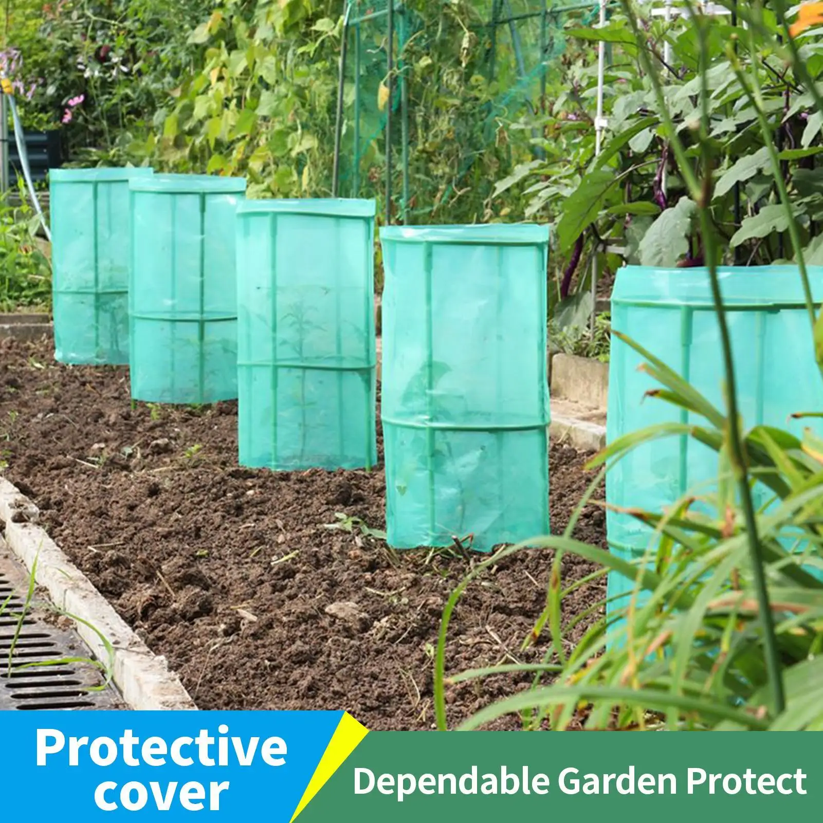 Plant Cloche Plants Cages Garden Cloches For Seedling 4 Pieces Frost Protection Reusable Animals Guard Cage For Blueberry Bushes