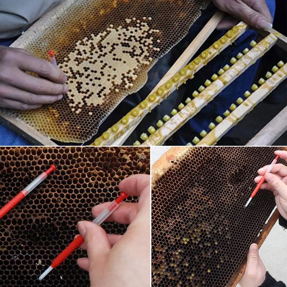 5Pcs Beekeeping Supplies Equipment Collect Royal Jelly Honey Bee Feeders Royal Jelly Beekeeper Tools Bee Farm Transfer Needle