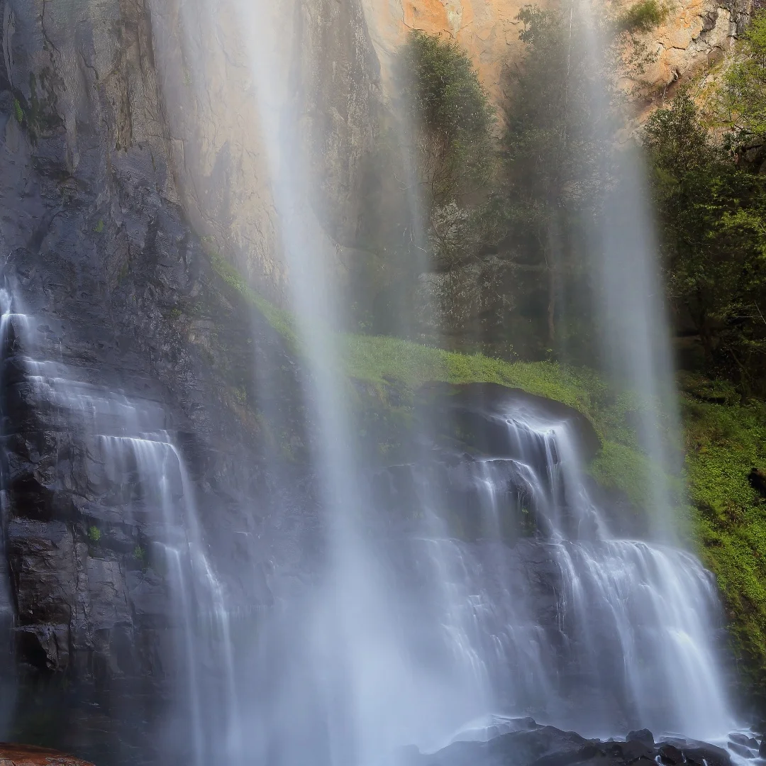 2025 جديد لفورد F150 2016-2021 مشغل وسائط متعددة أندرويد اللاسلكية CarPlay السيارات راديو السيارة شاشة تعمل باللمس الملاحة رئيس وحدة #1