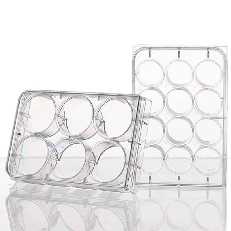 6-well 12-well 24-well 48-well 96-well 384-well flat-bottom cell culture plate Bacterial culture plate Coverslip cell crawler