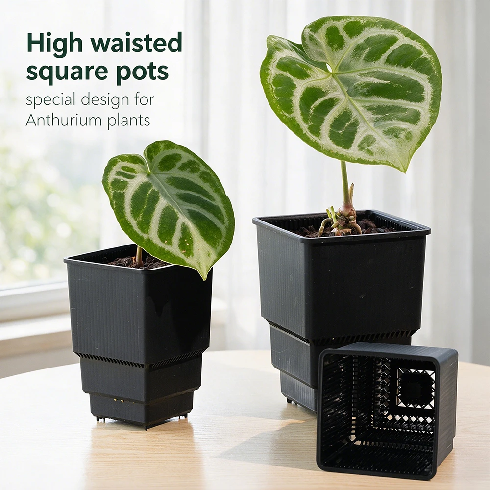 Meshpot High Waisted Square Nu - đánh giá và giá Seed Starter Trays