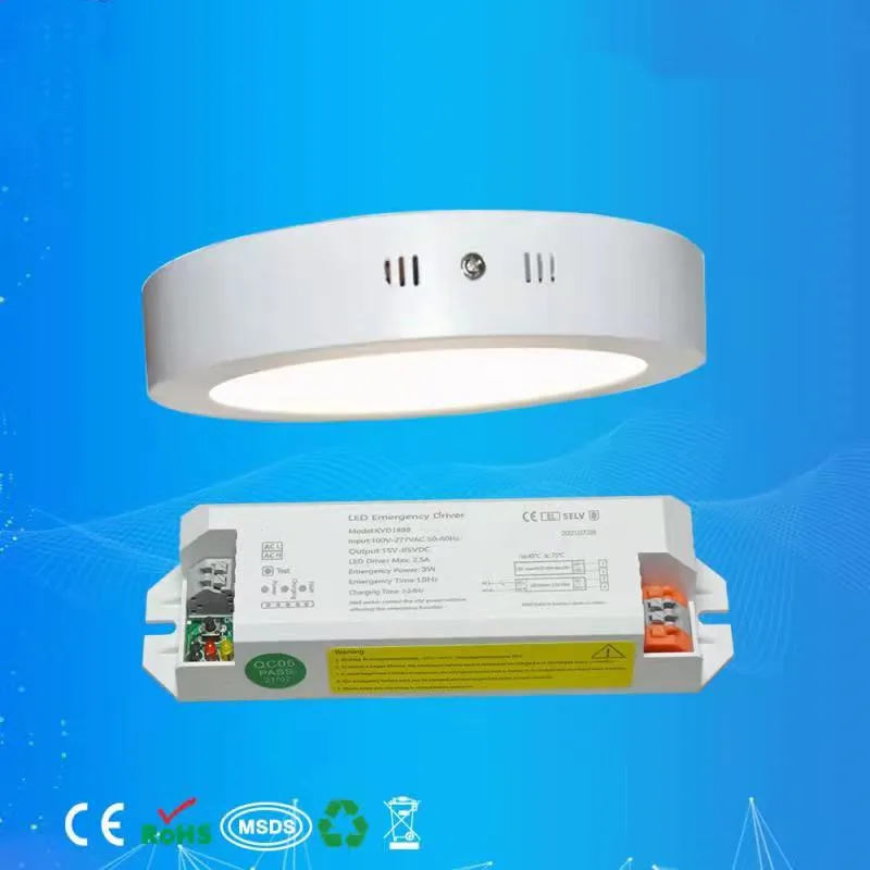 Free Shipping Hot Selling Emergency LED Driver 100-265 Volt AC Input 15-80 Volt DC Output 3Watt Output