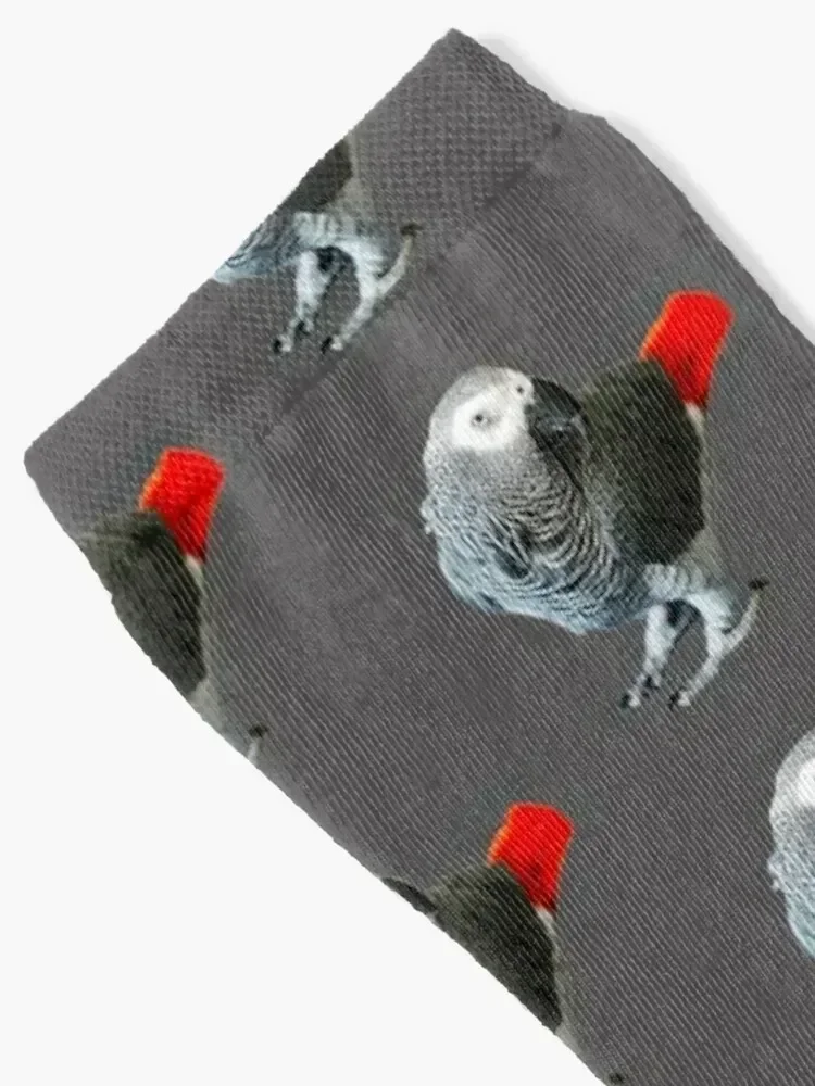 African Grey Parrot Socks kawaii happy funny sock New year's Socks Men's Women's