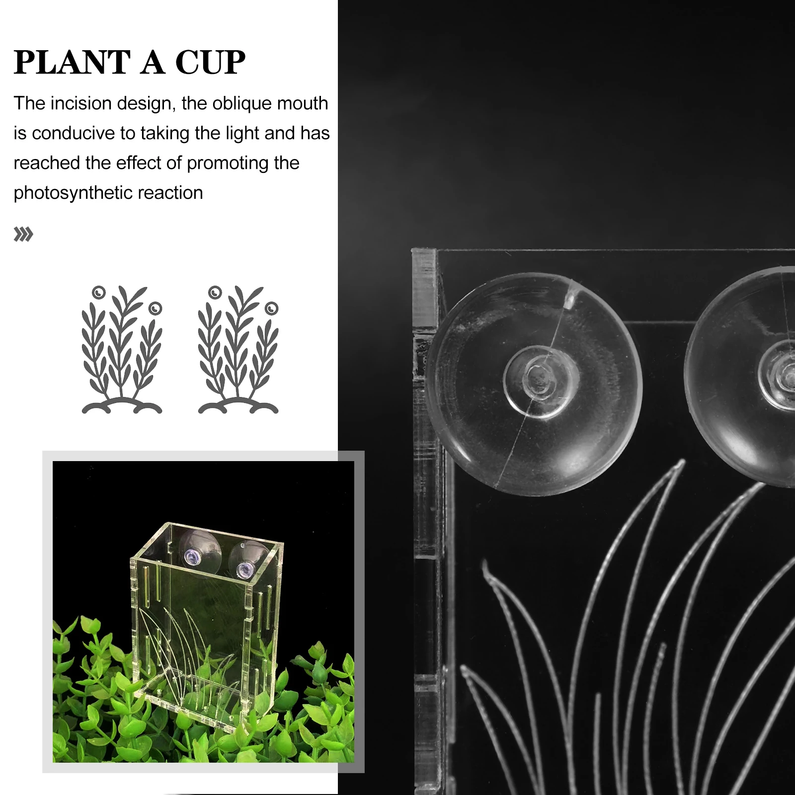 

Acrylic Water Plant Cup Clear Fish Tank Planter with Suction Cup Smooth Rim Safe Handling Ideal for Small Aquatic Plant Storage