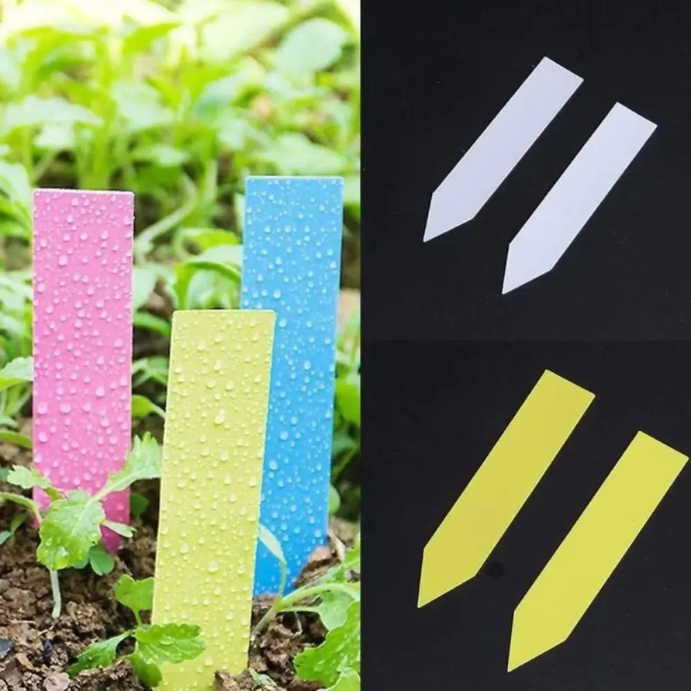 100Pcs Durable Plastic Material Plant Tags Reusable 5*1cm Size Plant Markers DIY Tool Sun Protection Seedling Tray Mark Garden