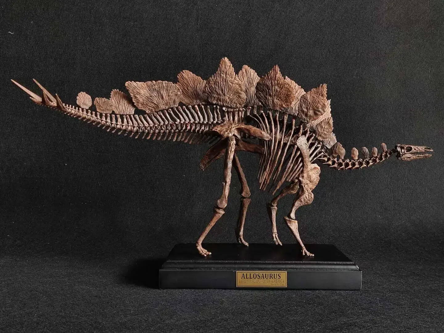 1/10 Stegosaurus Skeleton Model Dinosaur Animal Figure Collector Realistic Decoration Painted Statue GK Adult Gift Toy