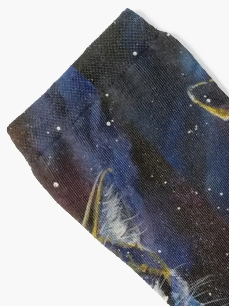 Cosmic Cat Doesn't Care Socks with print Hiking boots men cotton high quality Toe sports Socks Women Men's