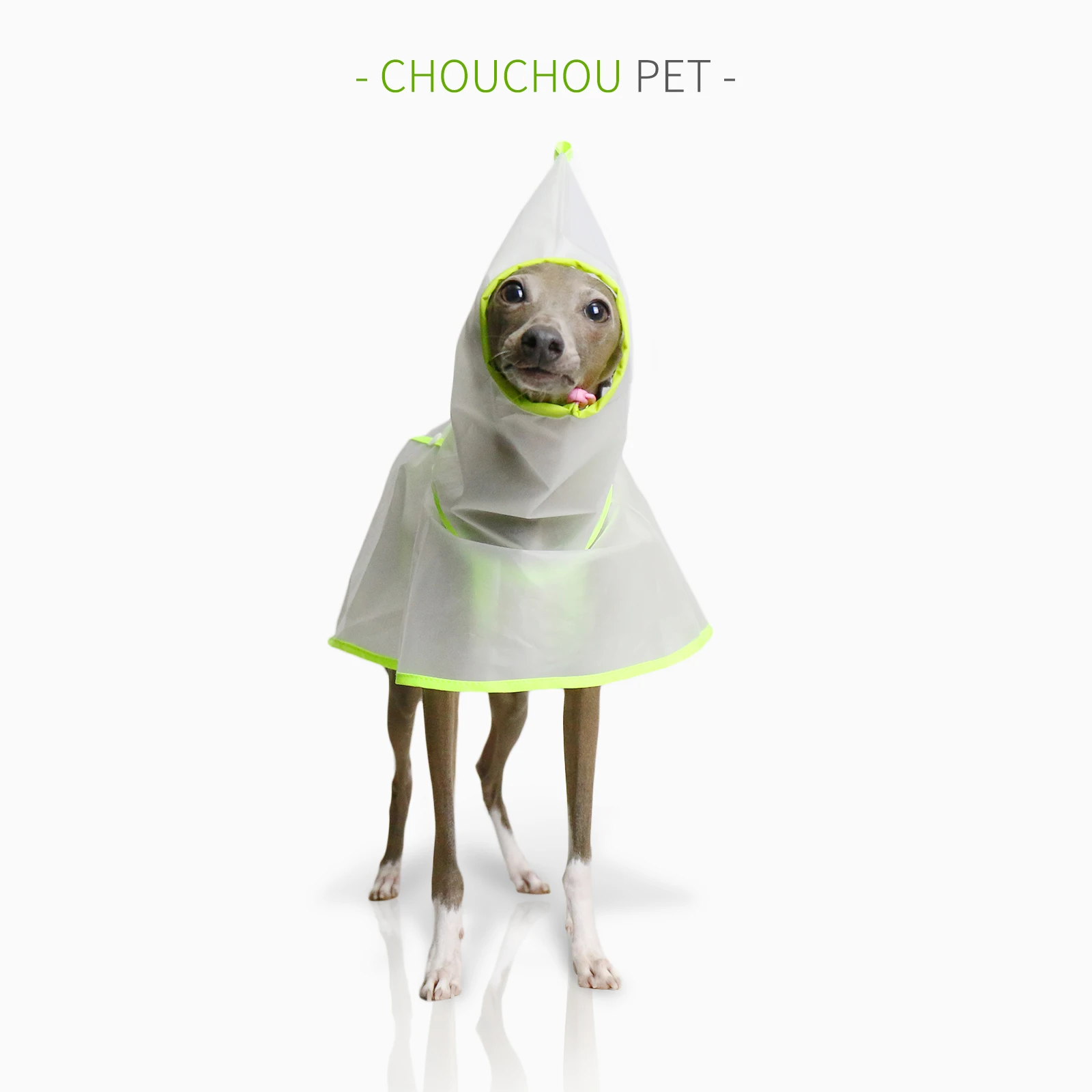 Italian Greyhound Whippet Raincoat Lightweight Iggy Colorful Waterproof, Rainproof, Windproof See-through Lightweight Raincoat