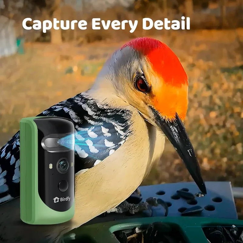 Smart Bird Feeder with Camera, Dual-Lens, Solar-Powered, Wireless Birdwatching