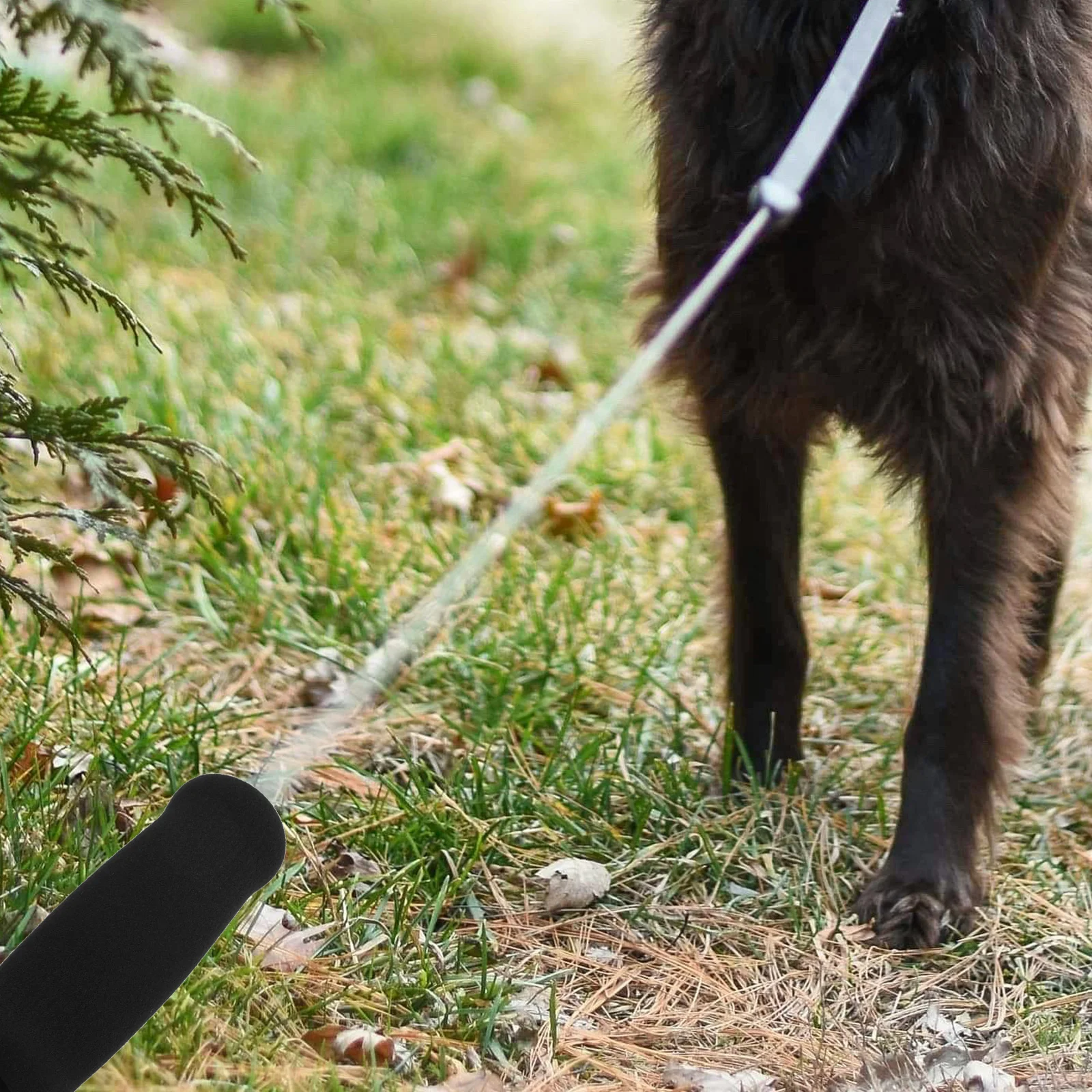 

6pcs Leash Sponge Handle Sponge Handle Cover Pet Leash Puppy Towing Accessories Durable Wear Resistant