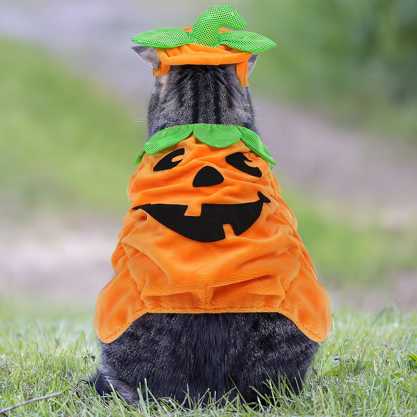 

Cat Halloween Costume Pumpkin Hat Pet Costume For Dogs Cats Soft Polyester Festival Dress Cute Animal Party Outfit
