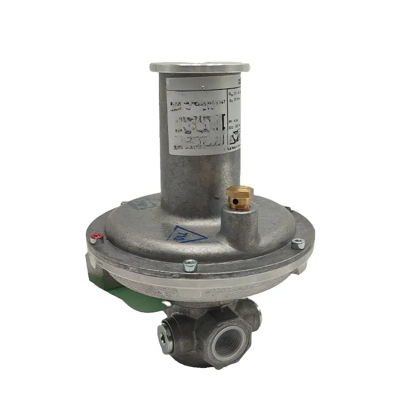 

Reduce Pressure Valve Governors For Gas Pressure Regulating Valve